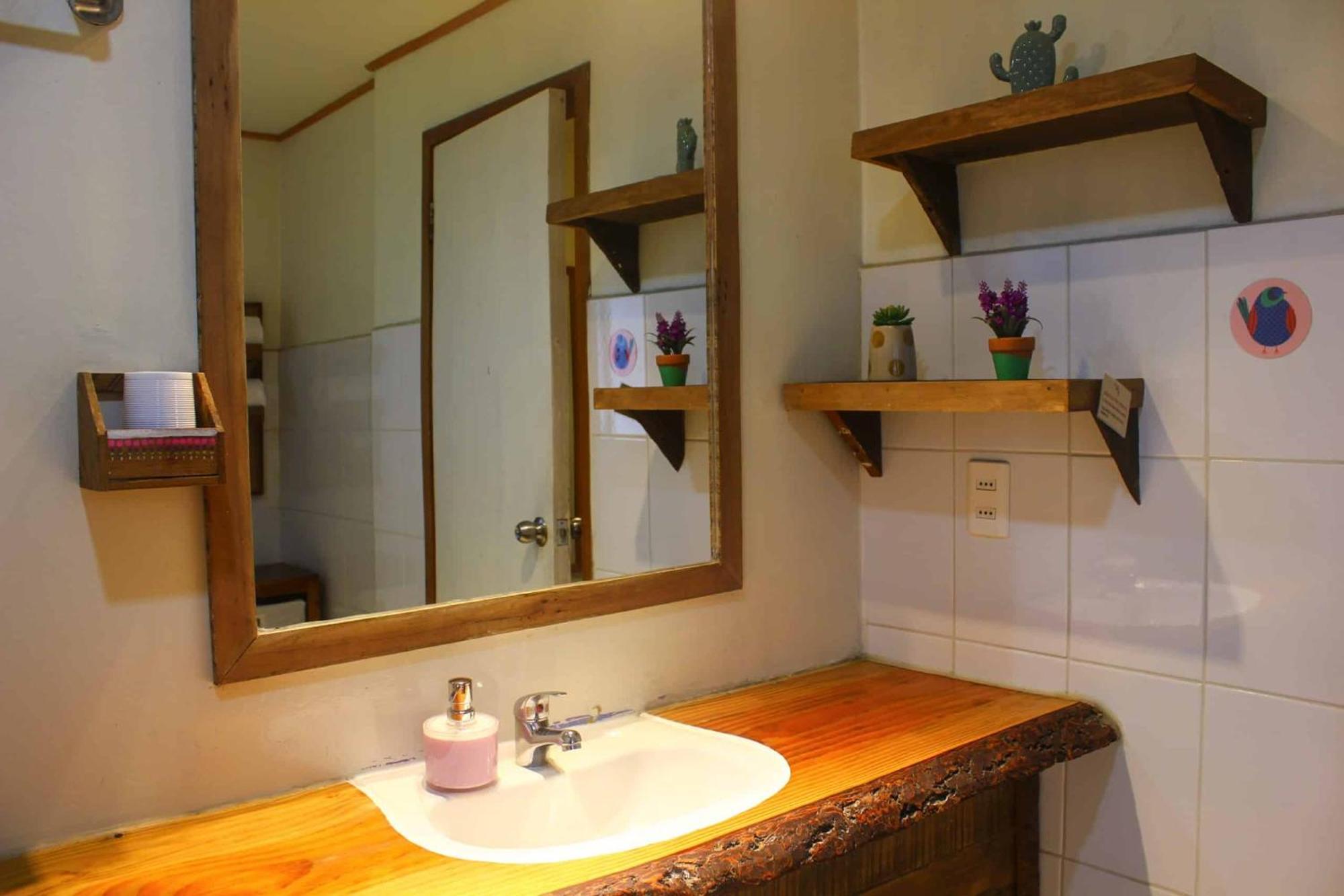 La Araucaria Hosteria Boutique - Ex Lounge Brasil Pucón Dış mekan fotoğraf